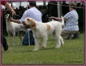 01-06-12 M GoodAsGold_IMG_IMG_6321